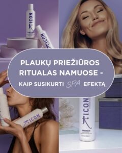 Pagrindinis Puspalpis 39 Pagrindinis Puspalpis