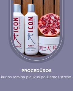 Pagrindinis puspalpis  vascoshop