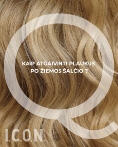 Pagrindinis puspalpis  vascoshop