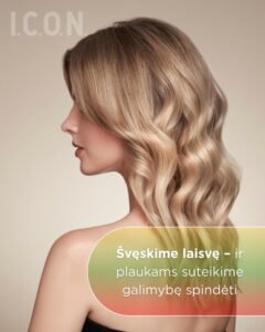 Pagrindinis puspalpis  vascoshop