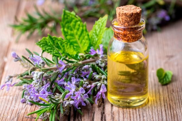 Rozmarinas ir pipirmėte