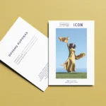 Dovanų kuponas - Image 3