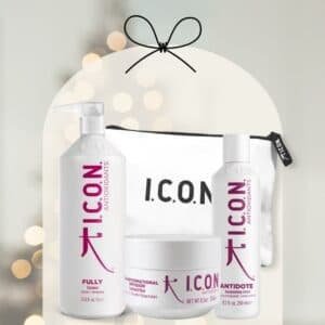 I. C. O. N. Antioxidant rinkinys maxi