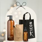 I.C.O.N. India rinkinis stipriai pažeistiems plaukams Maxi