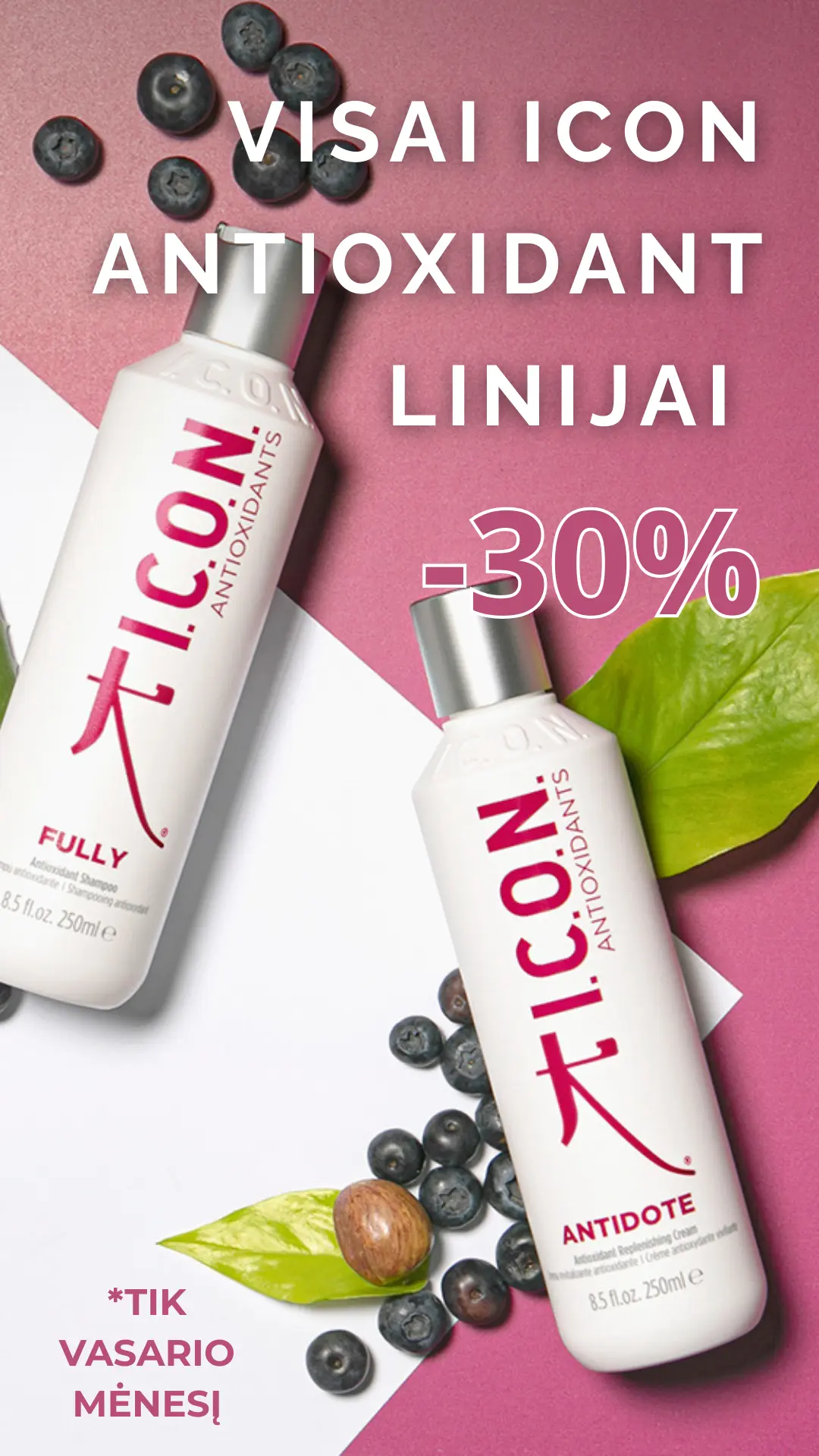 Pagrindinis puspalpis  vascoshop