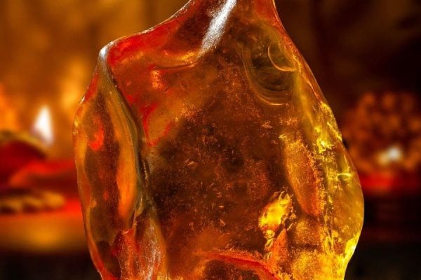 amber-1.jpg
