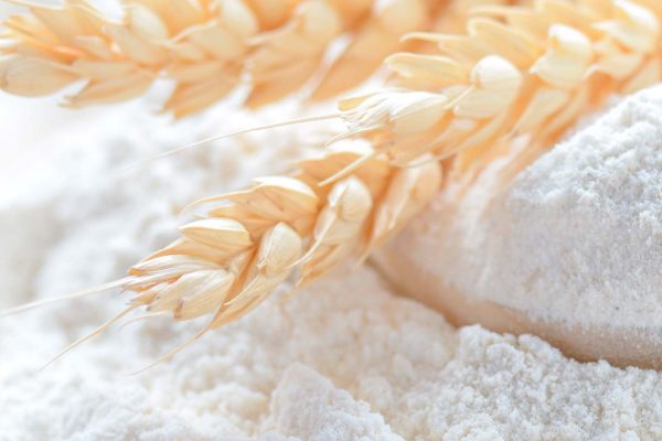 RYŽIŲ IR MIEŽIŲ SĖKLŲ MILTAI