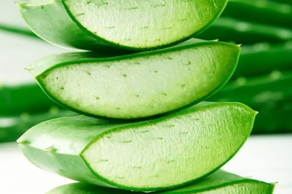 cucumberaloe
