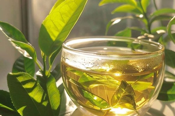 green-tea-leaves
