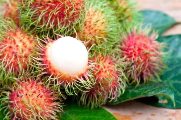 NEFELIUMO (LONGANO) SĖKLŲ EKSTRAKTAS