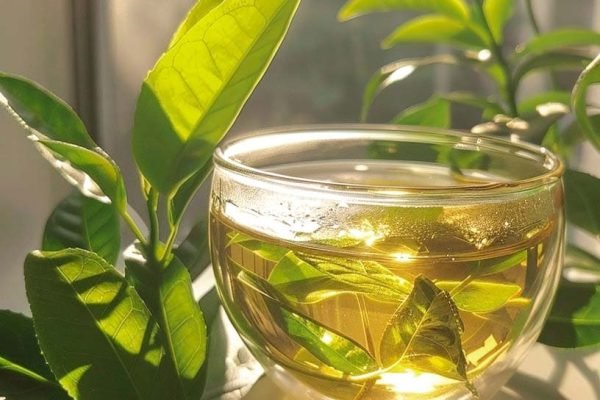 green-tea-leaves