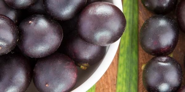 acai uogos acai uogos