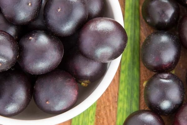 acai uogos acai uogos