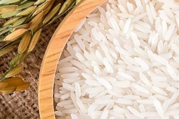 Ryžiu baltymai Ryžiu baltymai